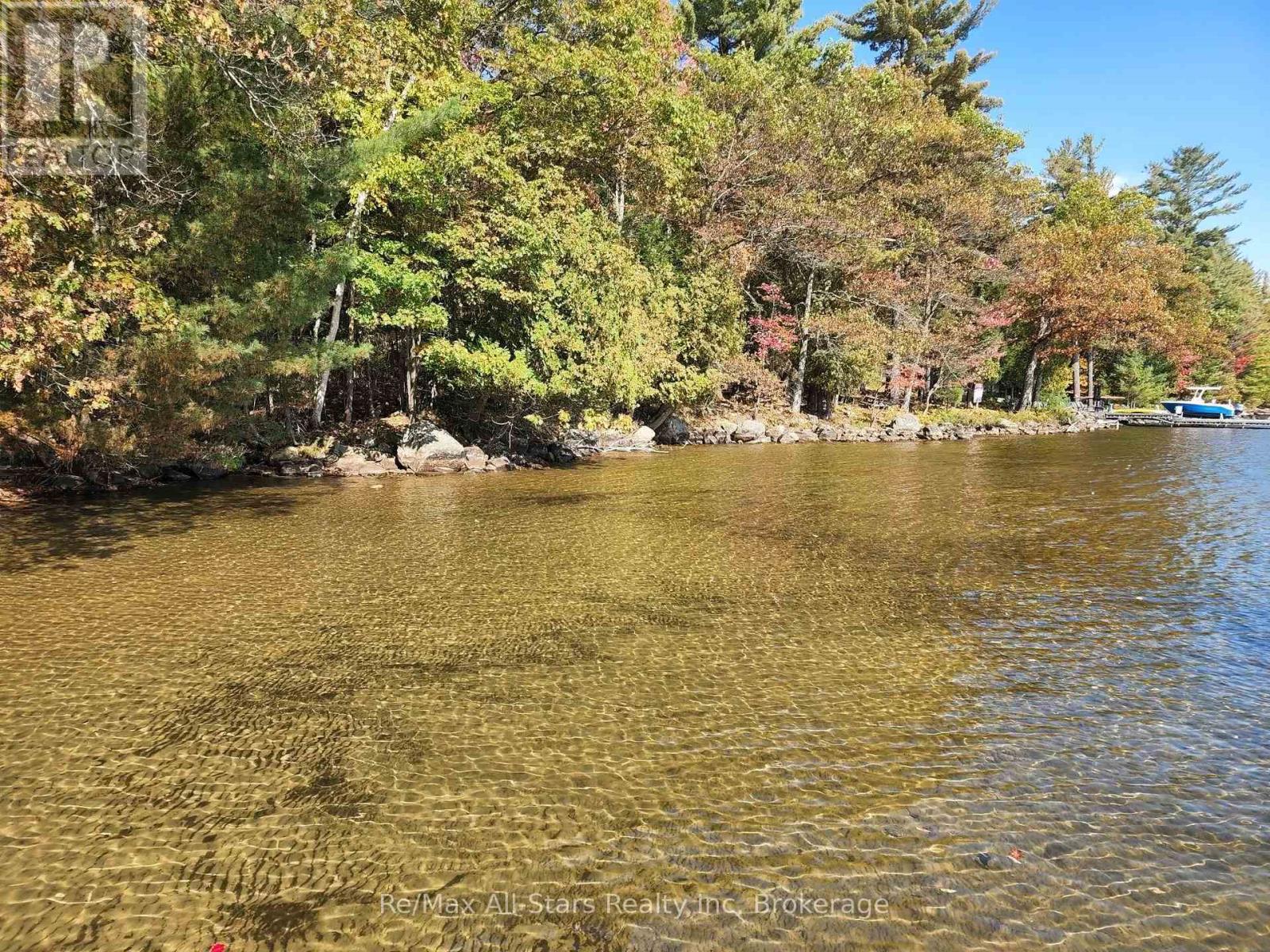 504 Bigwin Island, Lake Of Bays, Ontario  P0A 1H0 - Photo 3 - X12982010