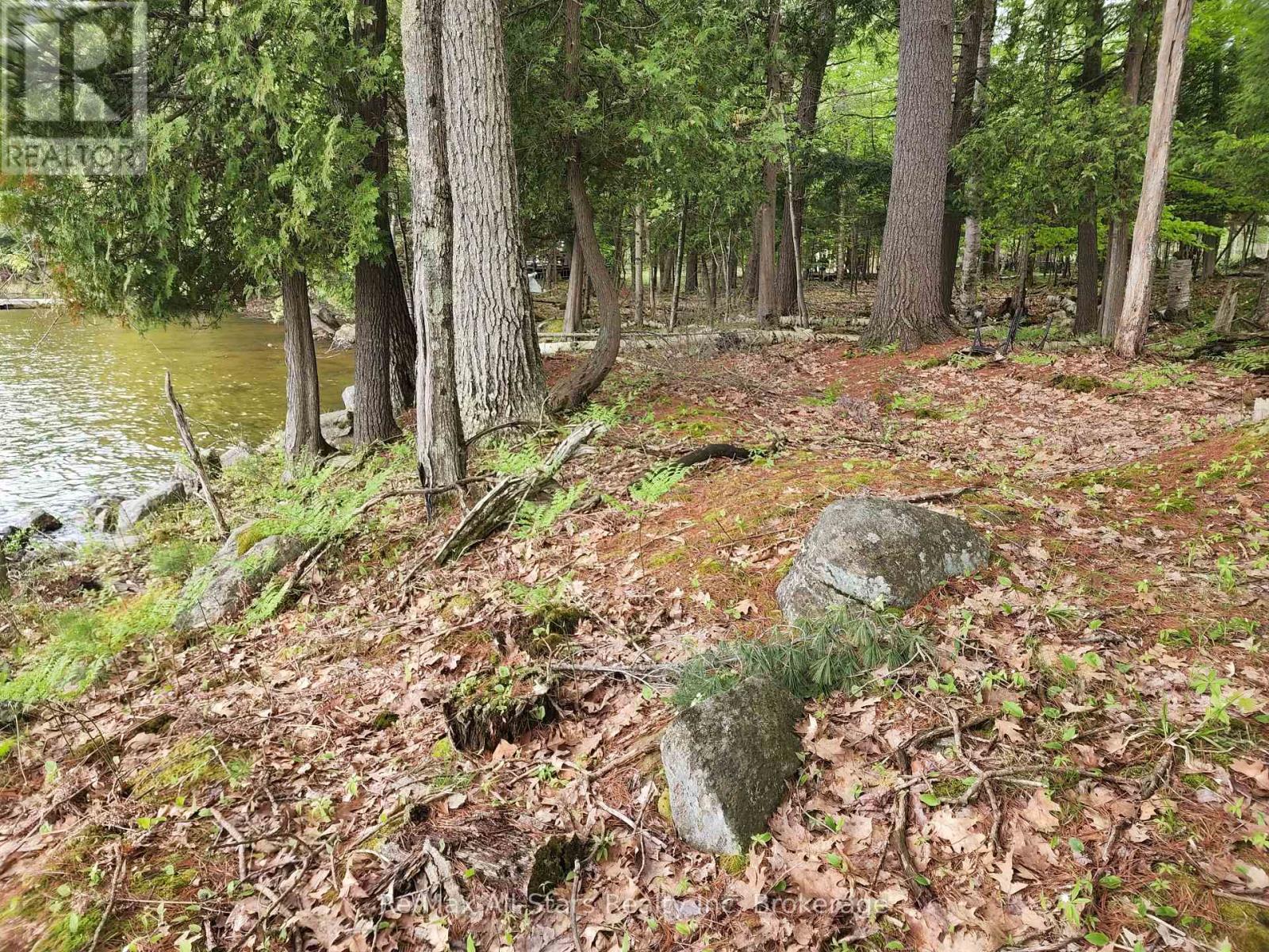 504 Bigwin Island, Lake Of Bays, Ontario  P0A 1H0 - Photo 8 - X12982010