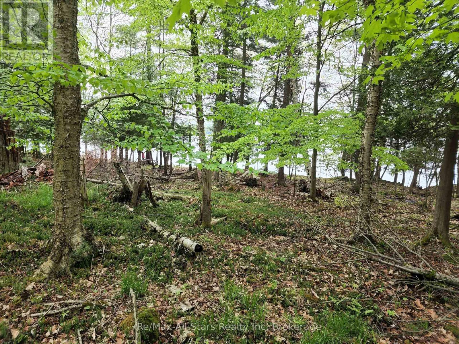 504 Bigwin Island, Lake Of Bays, Ontario  P0A 1H0 - Photo 9 - X12982010