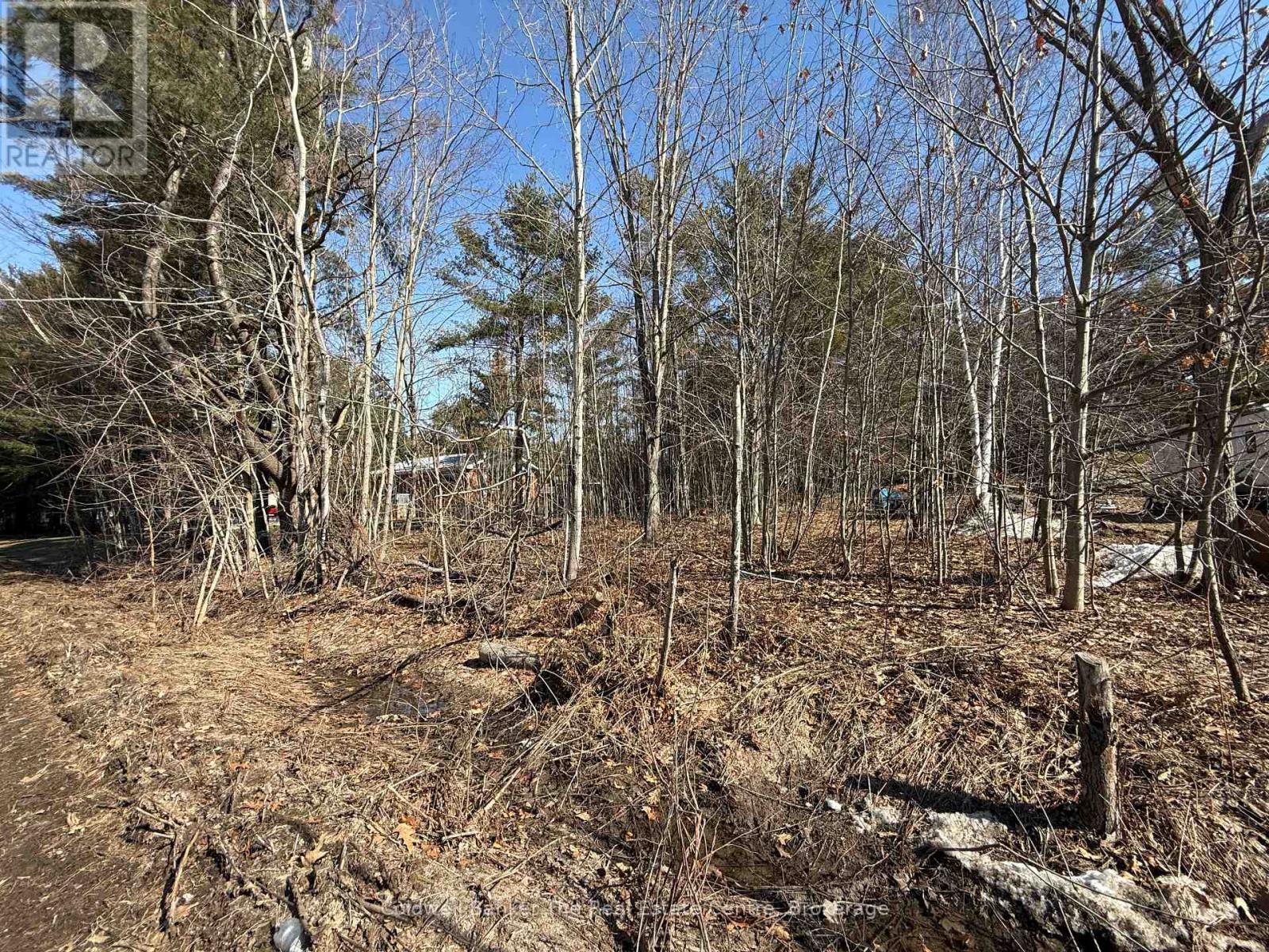 Vacant Lot Pinedale Road, Gravenhurst, Ontario  P1P 1L5 - Photo 1 - X12986450