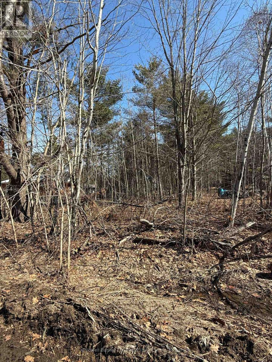 Vacant Lot Pinedale Road, Gravenhurst, Ontario  P1P 1L5 - Photo 4 - X12986450
