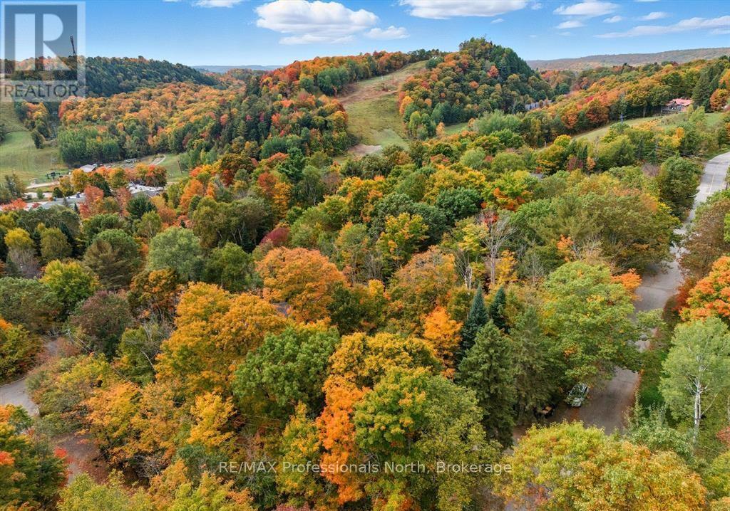 1755 Skyline Drive, Huntsville, Ontario  P1H 1A7 - Photo 22 - X12997704