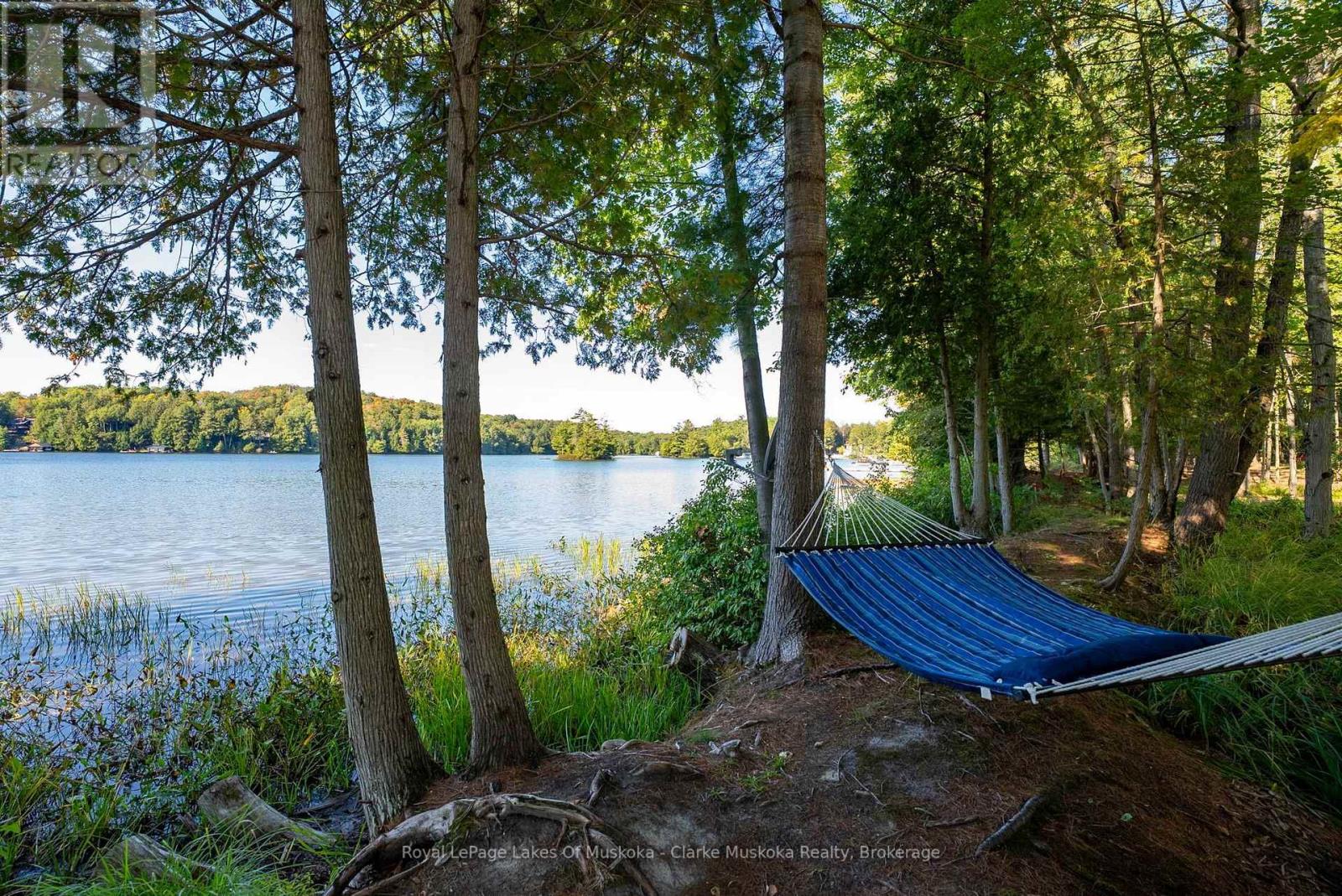 56 Blair Point Road, Seguin, Ontario  P0C 1J0 - Photo 45 - X13001096
