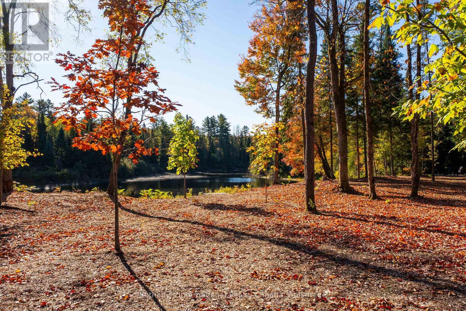 26 Mcgregor Way, Bracebridge, Ontario  P0B 1L0 - Photo 42 - X13003110