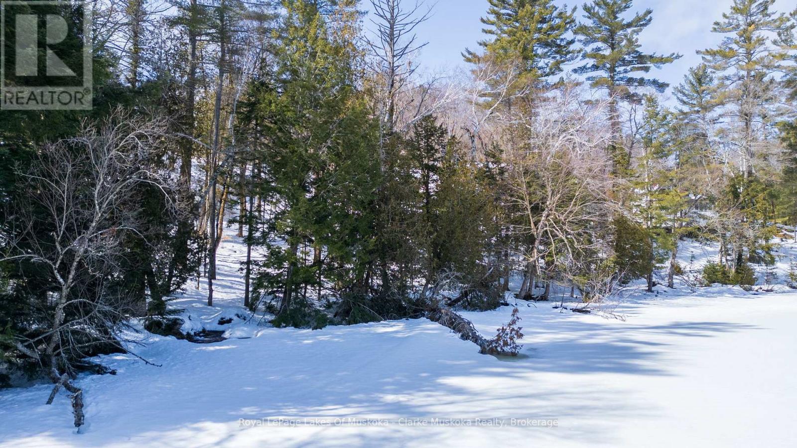 250 & 252 Clear Lake Road, Seguin, Ontario  P2A 2W8 - Photo 36 - X13007248