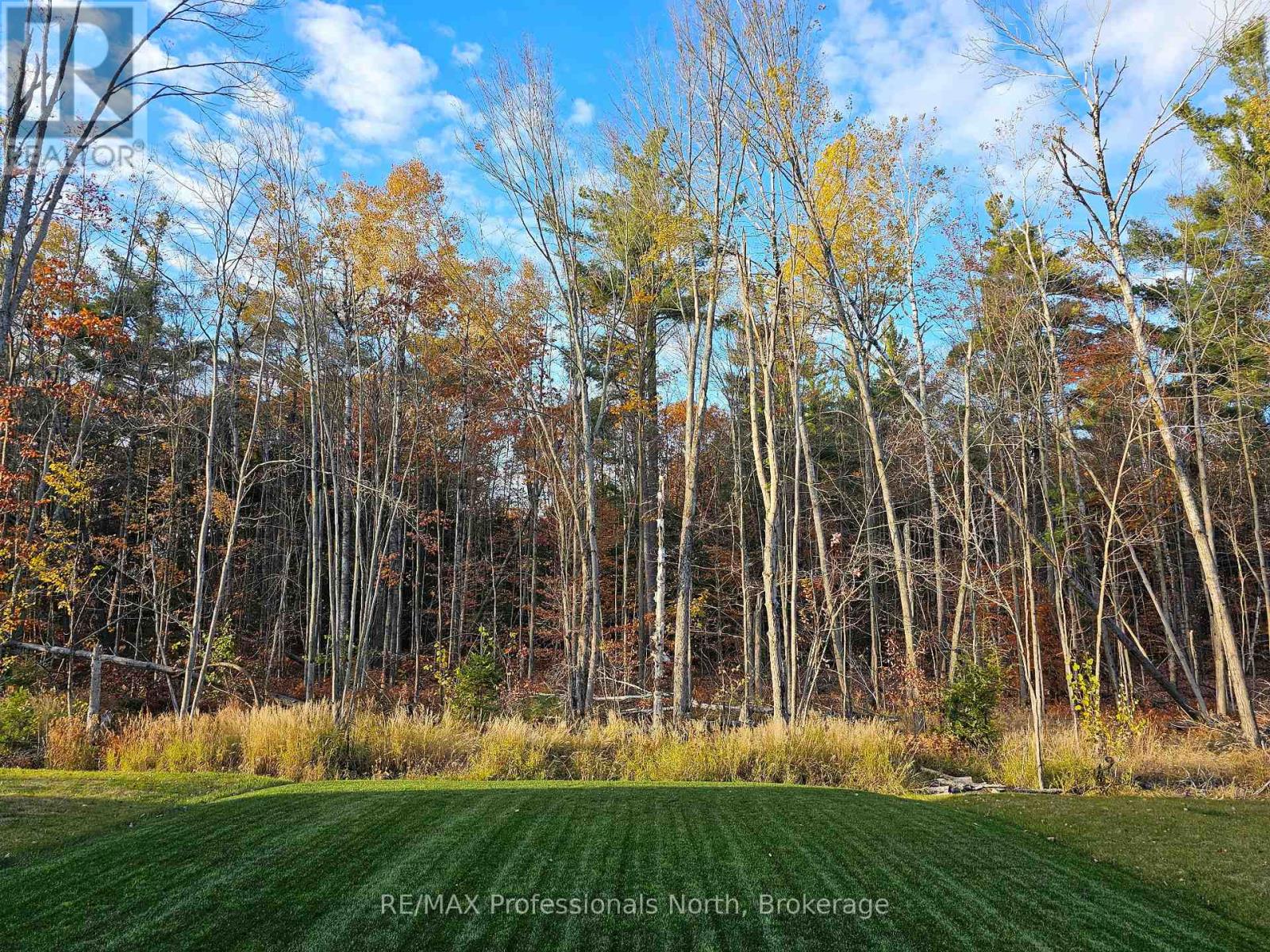 385 Beechwood Forest Lane, Gravenhurst, Ontario  P1P 0H8 - Photo 38 - X13008782