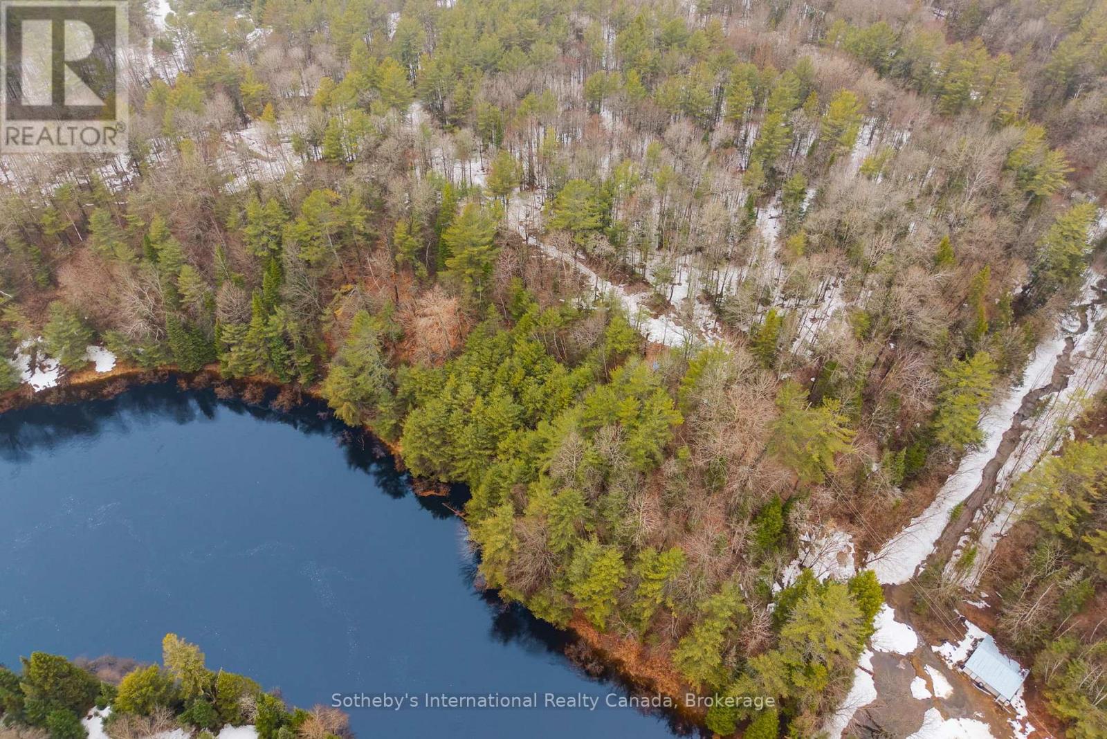 1000 Alpine Ranch Road, Bracebridge, Ontario  P1L 1W9 - Photo 18 - X13015802