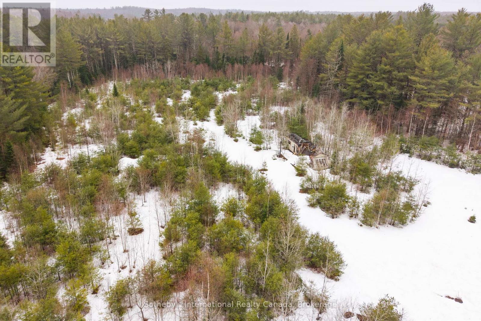 1000 Alpine Ranch Road, Bracebridge, Ontario  P1L 1W9 - Photo 26 - X13015802