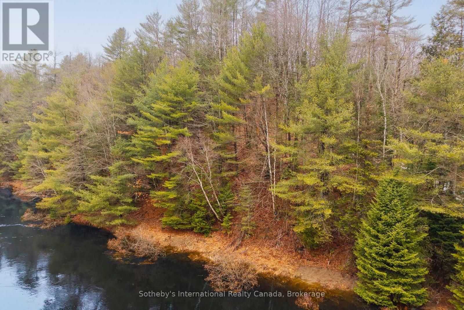 1000 Alpine Ranch Road, Bracebridge, Ontario  P1L 1W9 - Photo 7 - X13015802