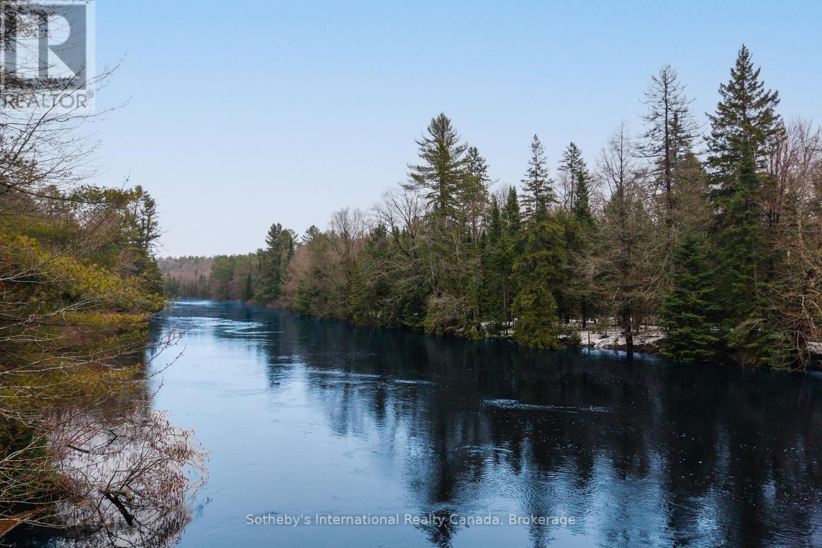 1000 Alpine Ranch Road, Bracebridge, Ontario  P1L 1W9 - Photo 9 - X13015802