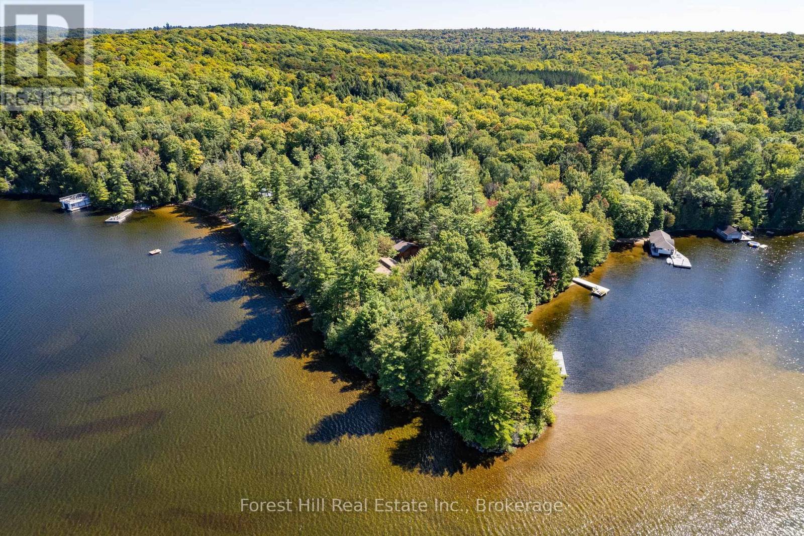 2 - 2991 Muskoka Rd 117 Road, Lake Of Bays, Ontario  P0B 1A0 - Photo 1 - X13016736