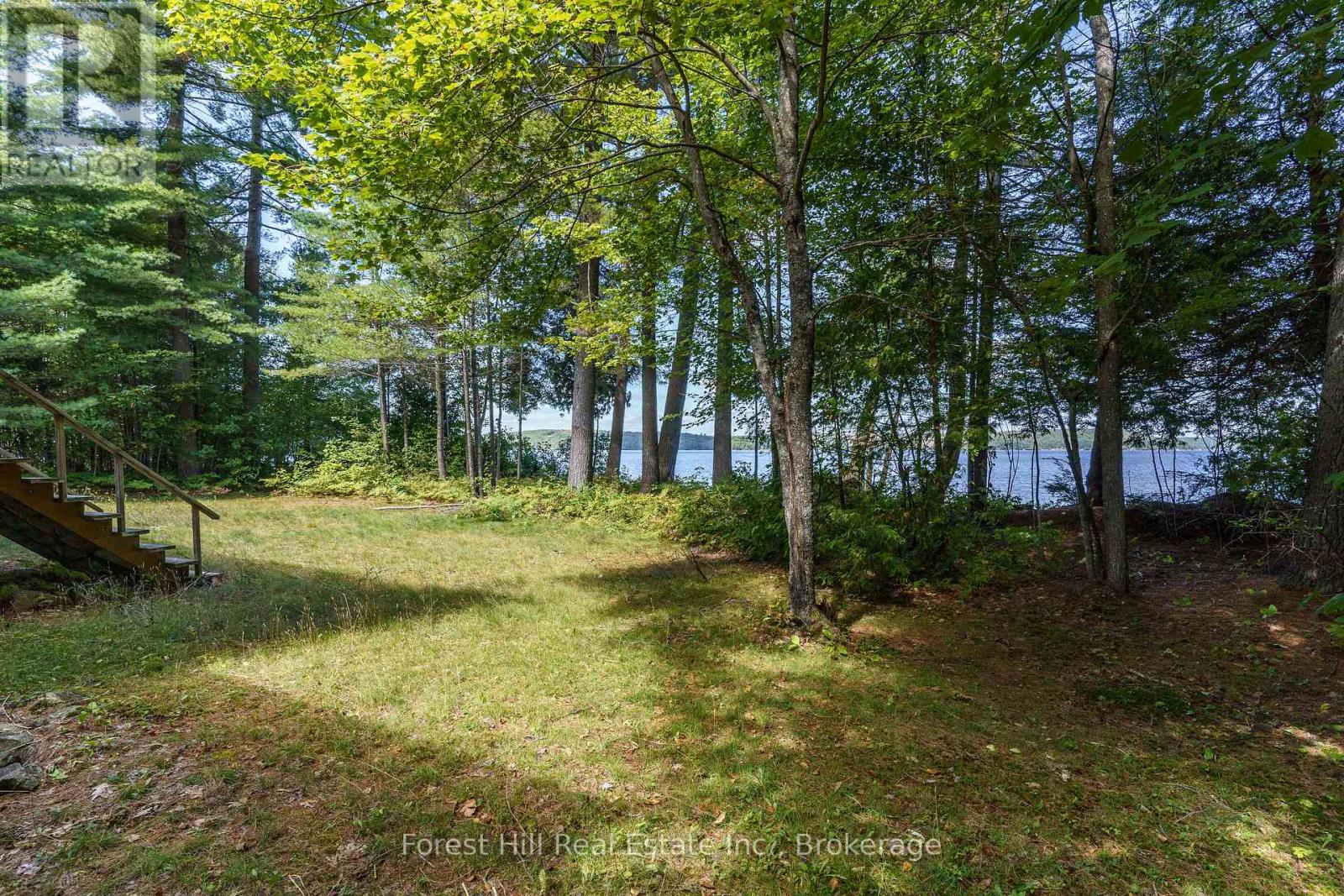 2 - 2991 Muskoka Rd 117 Road, Lake Of Bays, Ontario  P0B 1A0 - Photo 17 - X13016736