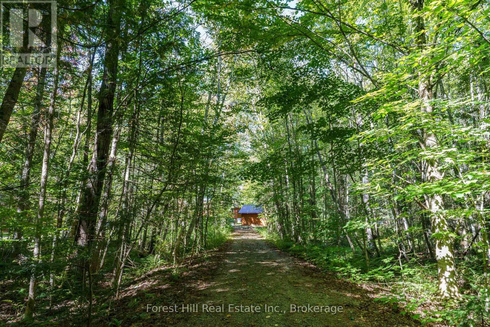 2 - 2991 Muskoka Rd 117 Road, Lake Of Bays, Ontario  P0B 1A0 - Photo 26 - X13016736