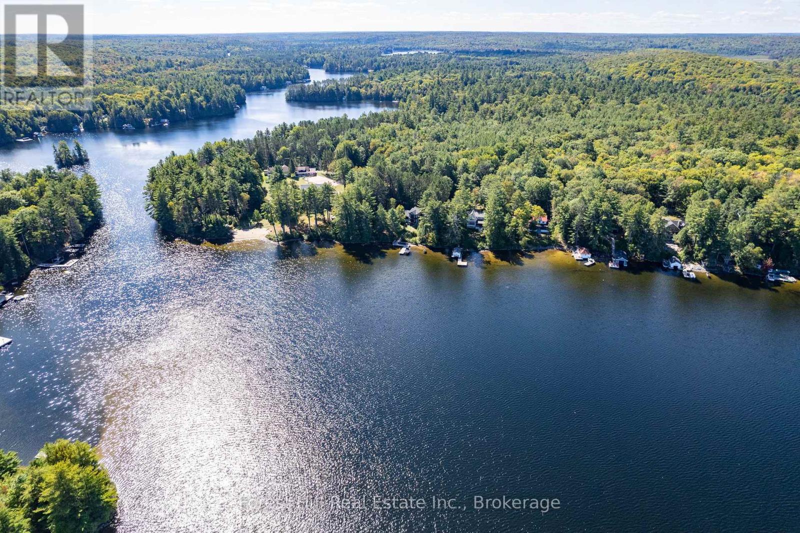 2 - 2991 Muskoka Rd 117 Road, Lake Of Bays, Ontario  P0B 1A0 - Photo 5 - X13016736