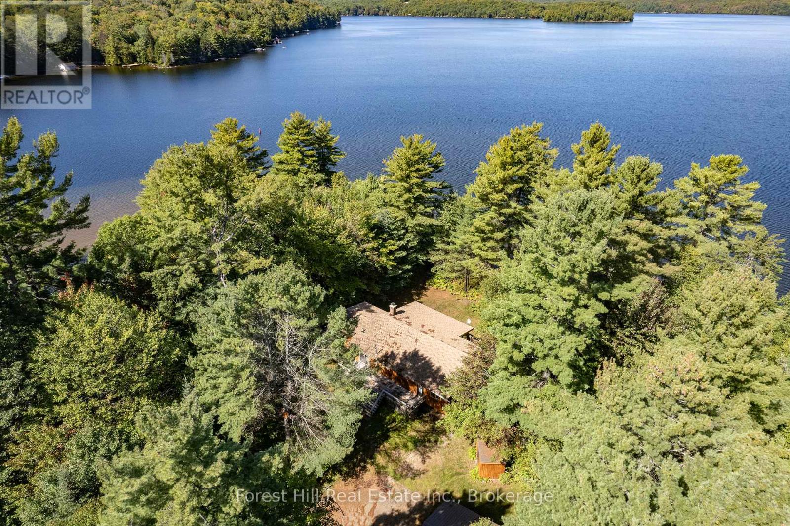 2 - 2991 Muskoka Rd 117 Road, Lake Of Bays, Ontario  P0B 1A0 - Photo 9 - X13016736