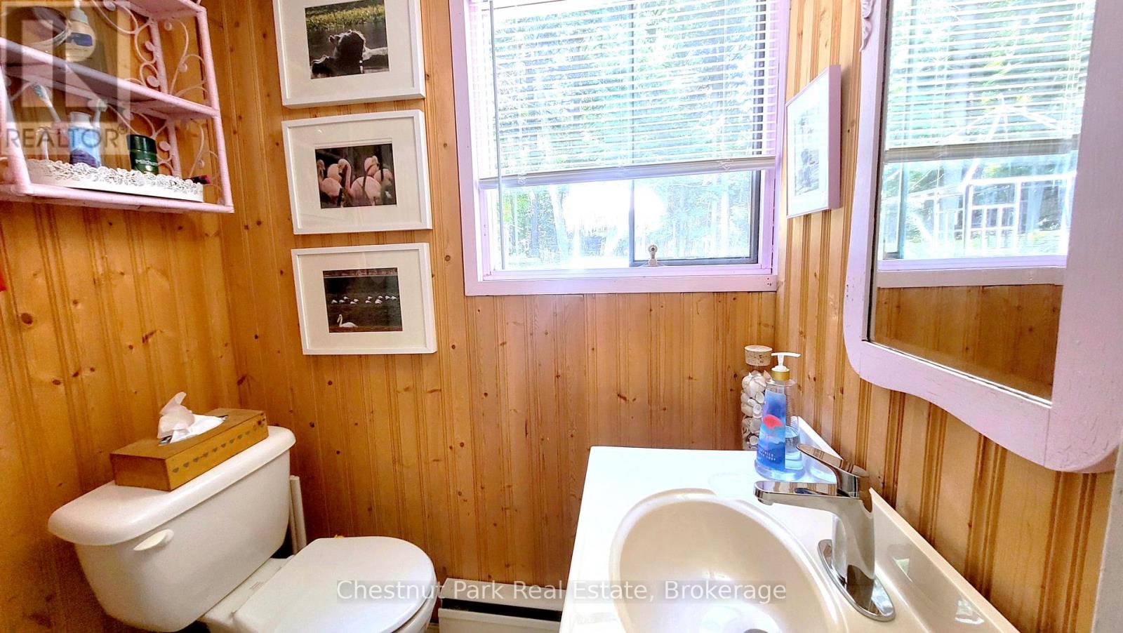 254 Bigwin Island, Lake Of Bays, Ontario  P0B 1A0 - Photo 19 - X13017586
