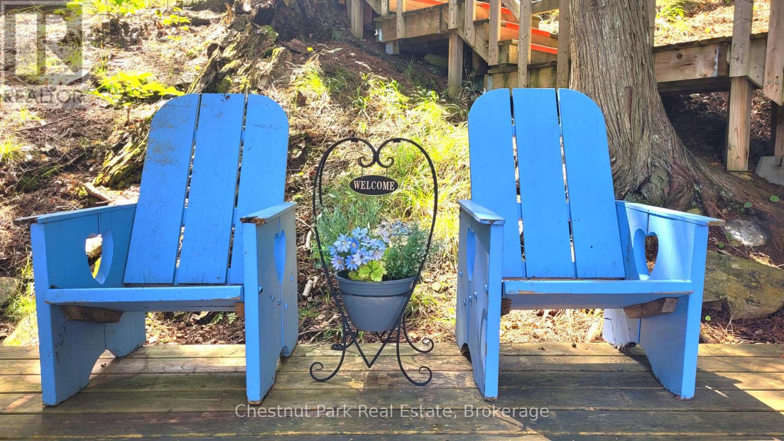 254 Bigwin Island, Lake Of Bays, Ontario  P0B 1A0 - Photo 24 - X13017586