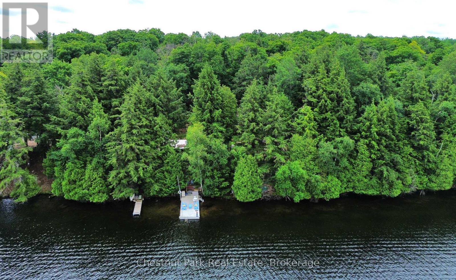254 Bigwin Island, Lake Of Bays, Ontario  P0B 1A0 - Photo 28 - X13017586