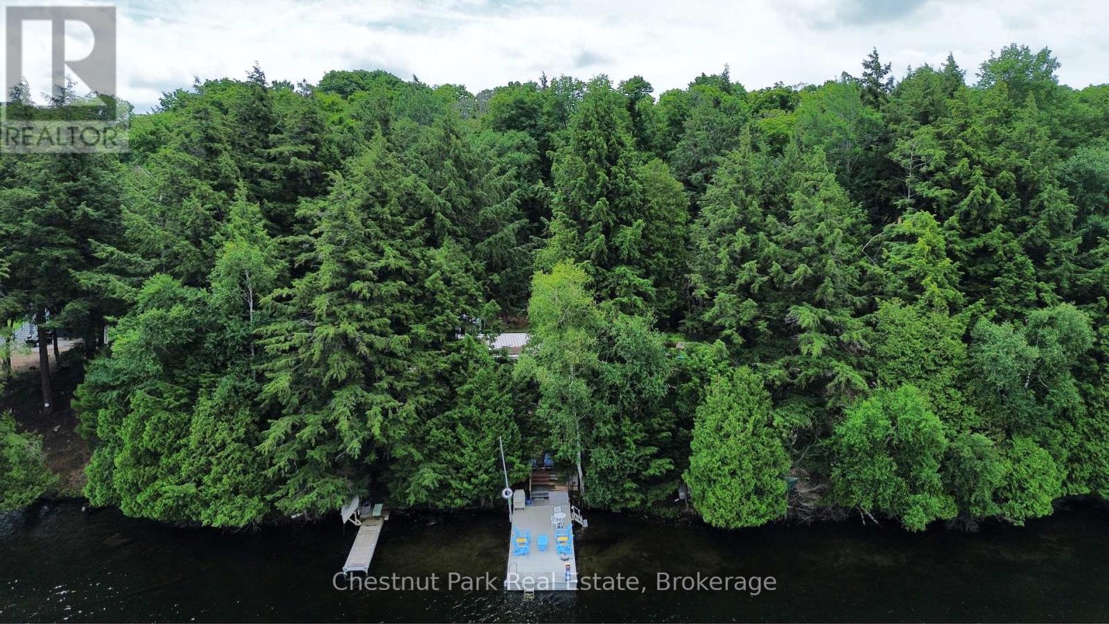254 Bigwin Island, Lake Of Bays, Ontario  P0B 1A0 - Photo 29 - X13017586