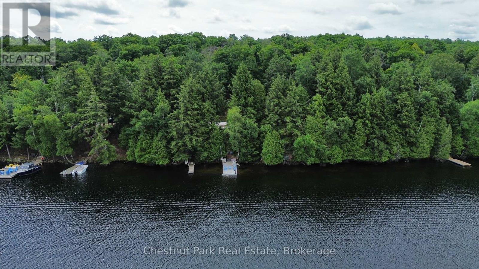 254 Bigwin Island, Lake Of Bays, Ontario  P0B 1A0 - Photo 30 - X13017586