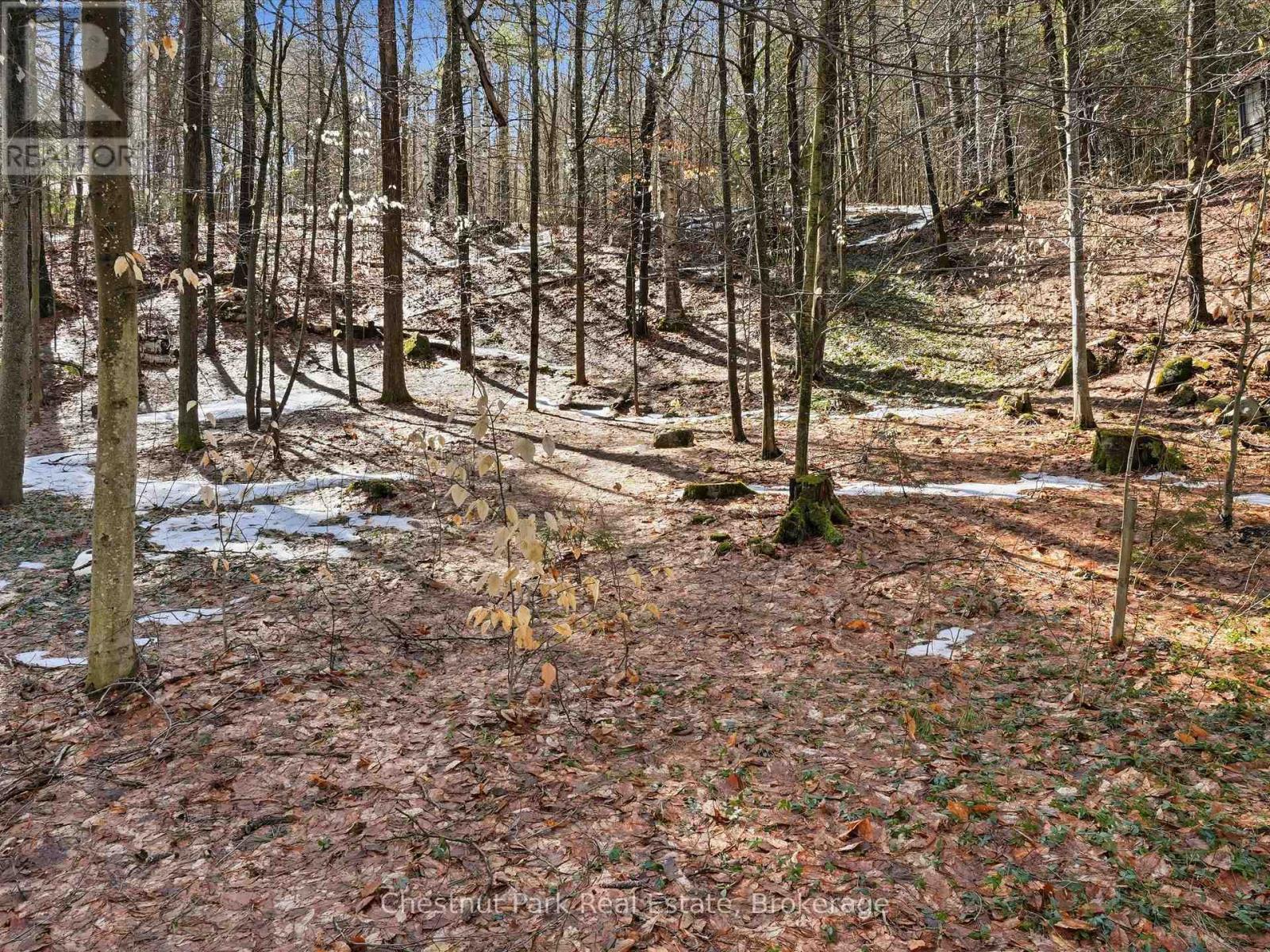 1087 Glenmount Road, Lake Of Bays, Ontario  P0B 1A0 - Photo 10 - X13019728