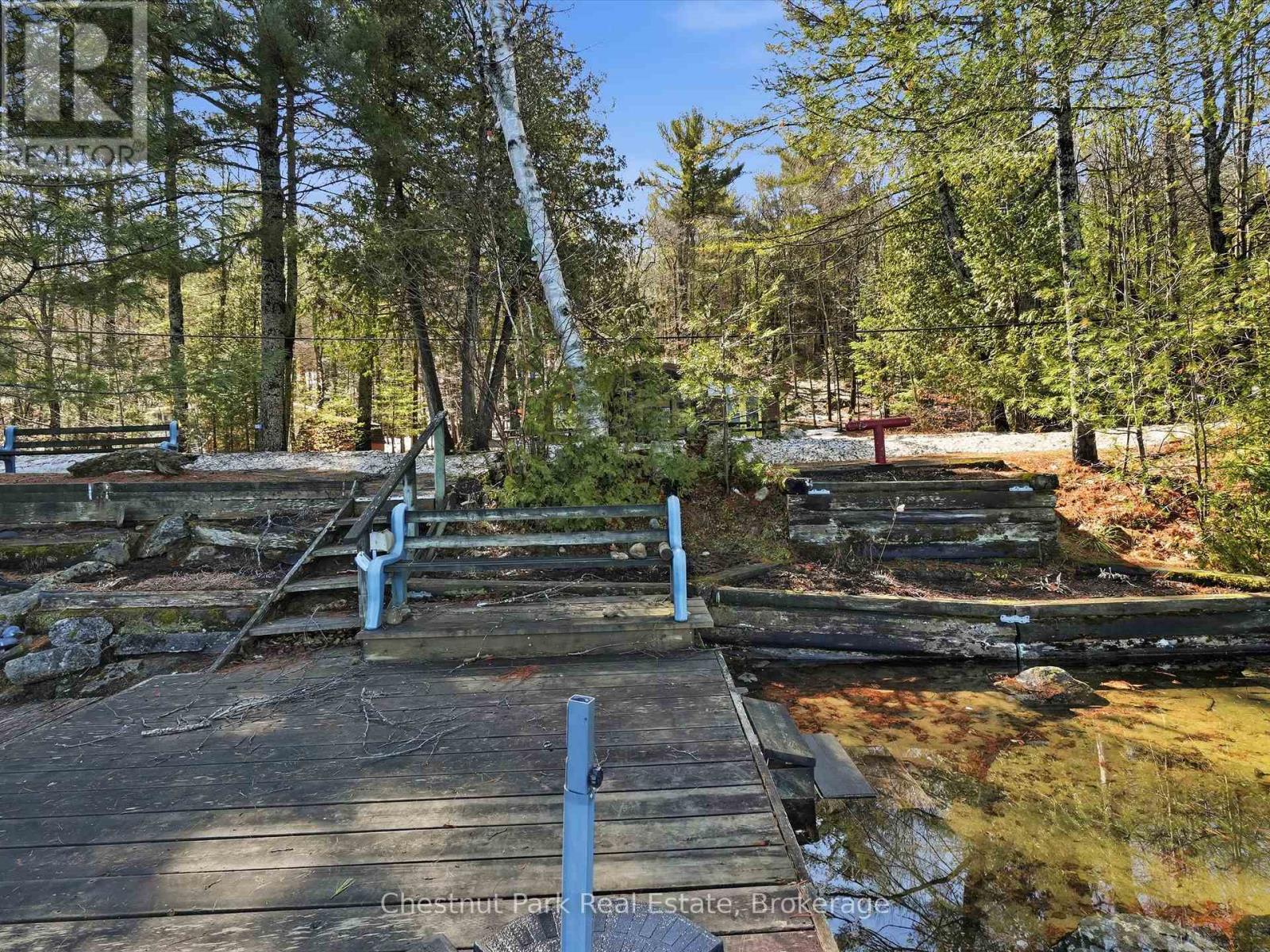 1087 Glenmount Road, Lake Of Bays, Ontario  P0B 1A0 - Photo 7 - X13019728