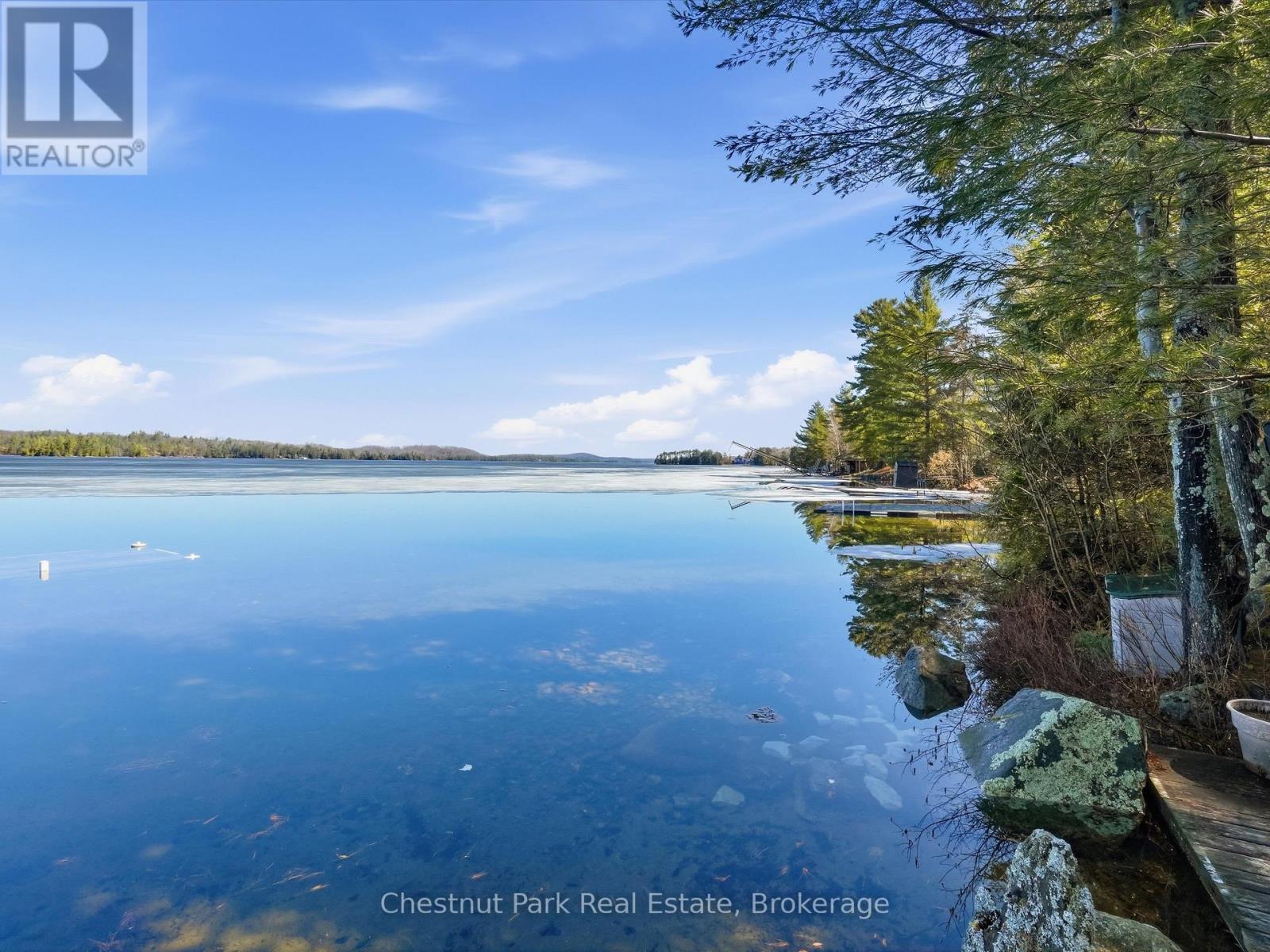 1087 Glenmount Road, Lake Of Bays, Ontario  P0B 1A0 - Photo 8 - X13019728