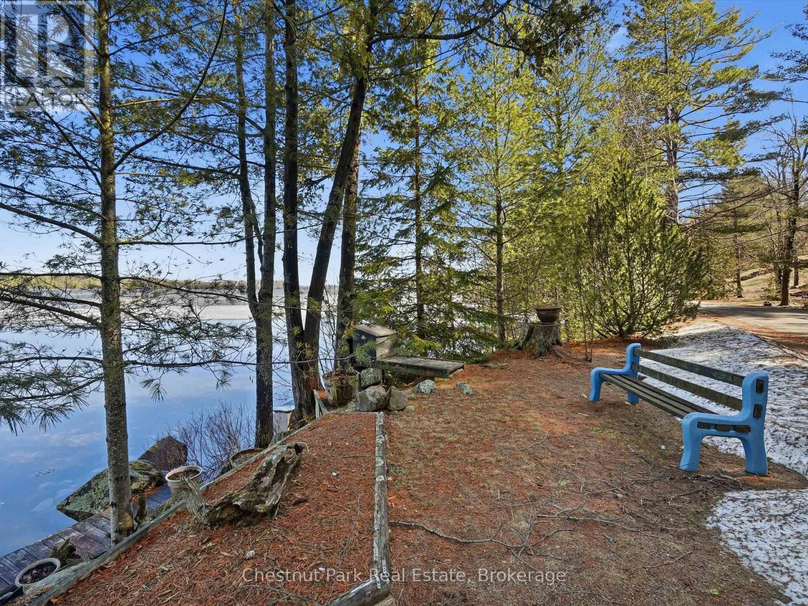 1087 Glenmount Road, Lake Of Bays, Ontario  P0B 1A0 - Photo 9 - X13019728