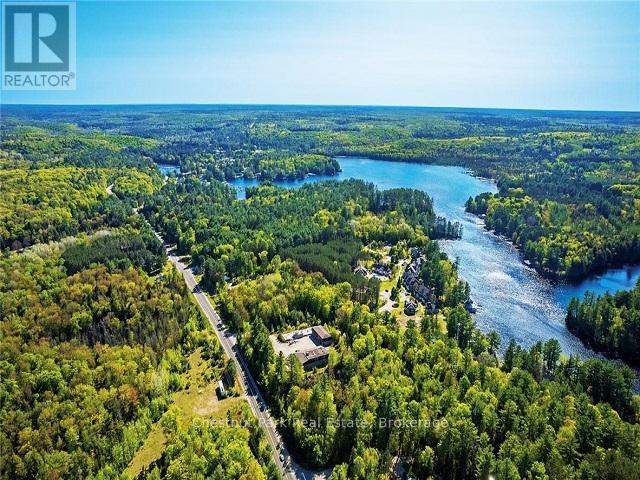 0 Birch Glen Road, Lake Of Bays, Ontario  P0B 1A0 - Photo 3 - X13021772