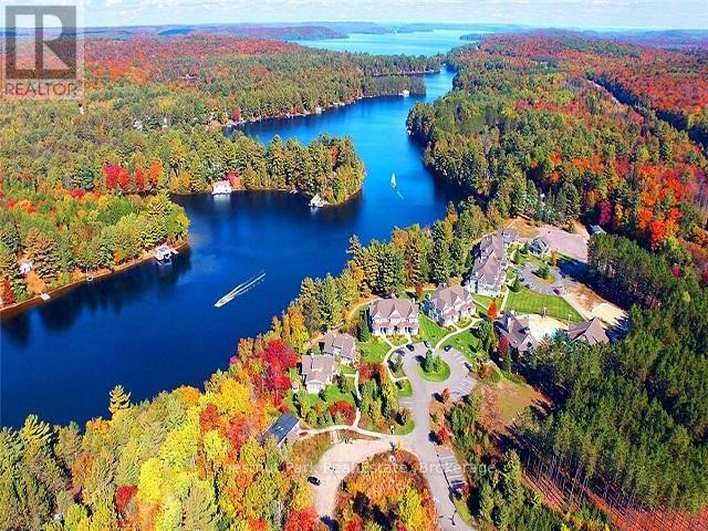 9 - 2769 Muskoka 117 Road, Lake Of Bays, Ontario P0B 1A0 - Photo 3 - X13021792