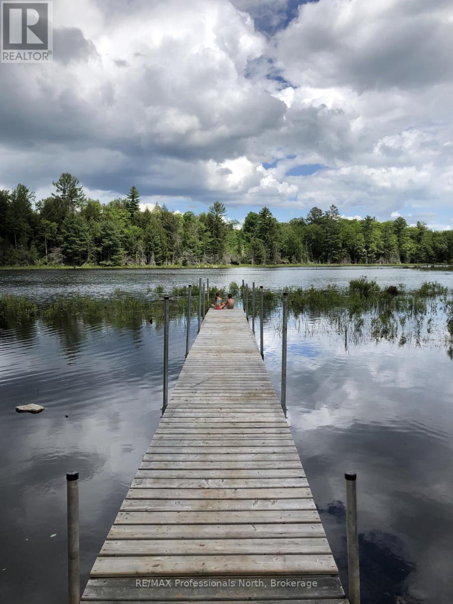 1289 Purbrook Road, Bracebridge, Ontario  P1L 1X3 - Photo 49 - X13027238
