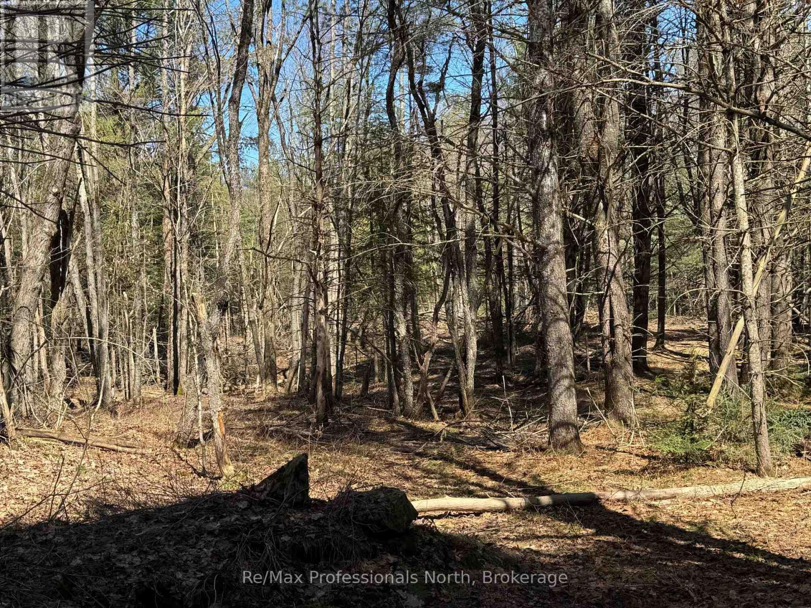 Lot 15 And 16 Con 2 Draper, Bracebridge, Ontario  P1P 1R3 - Photo 3 - X13031650