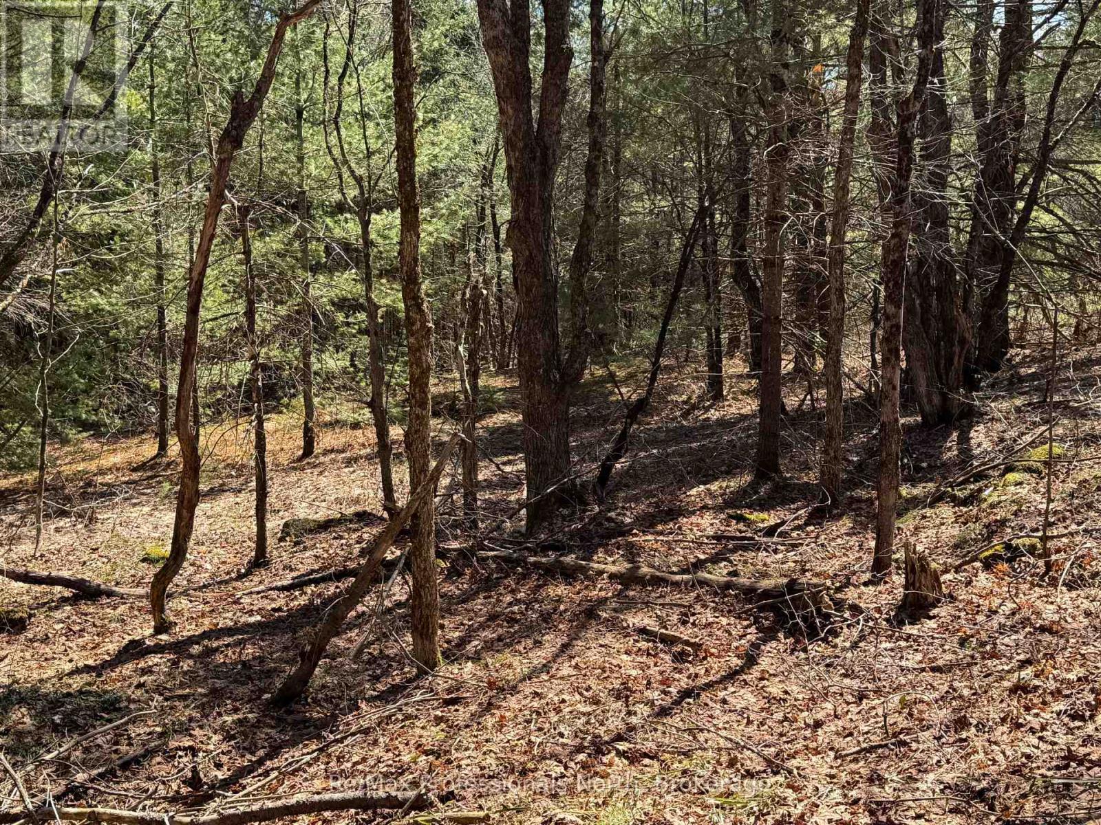 Lot 15 And 16 Con 2 Draper, Bracebridge, Ontario  P1P 1R3 - Photo 5 - X13031650