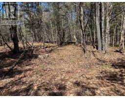 LOT 15 AND 16 CON 2 DRAPER, Bracebridge, Ontario
