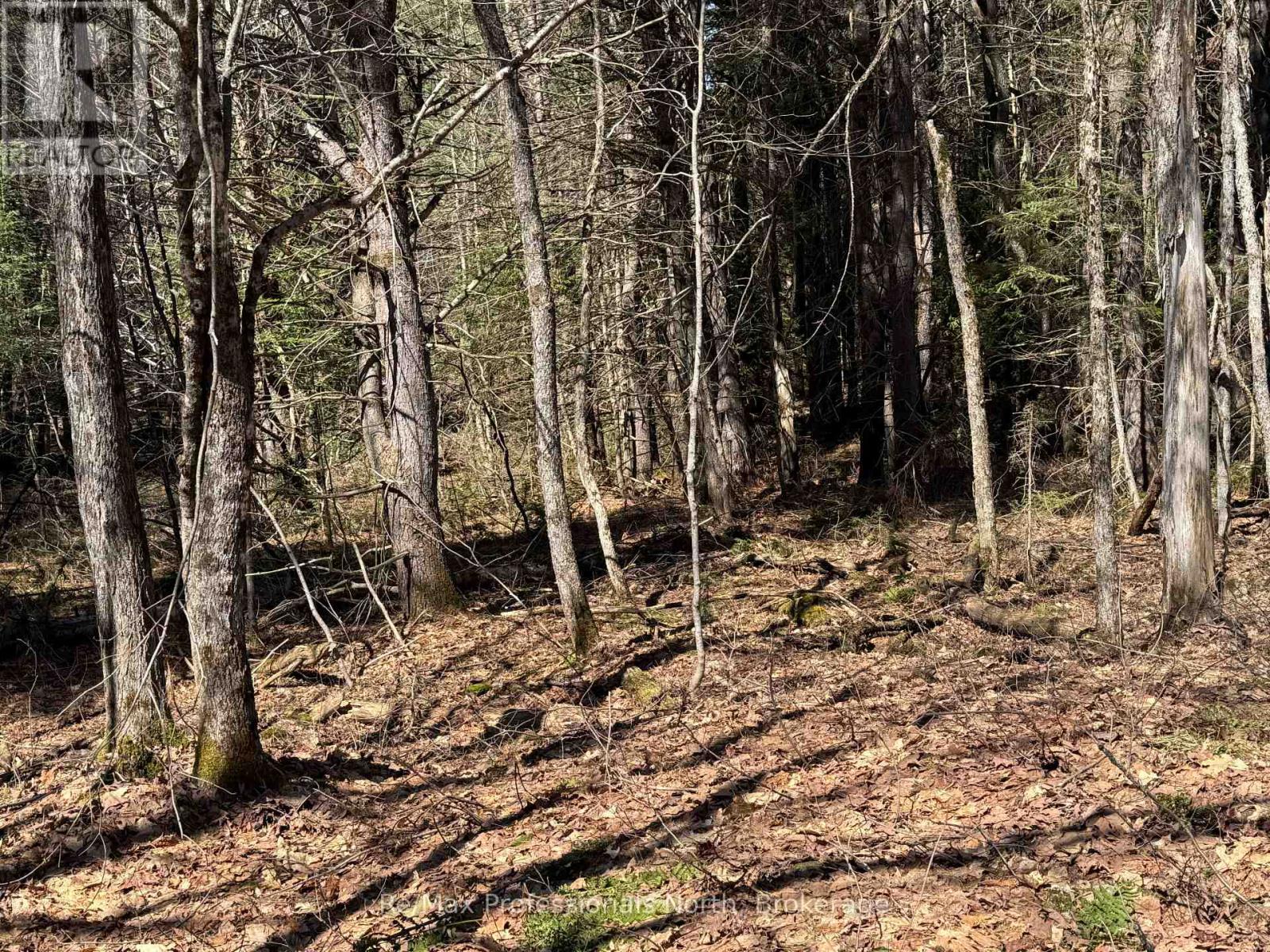 Lot 16 And 15 Con 2 Draper, Bracebridge, Ontario  P1P 1R3 - Photo 1 - X13031664