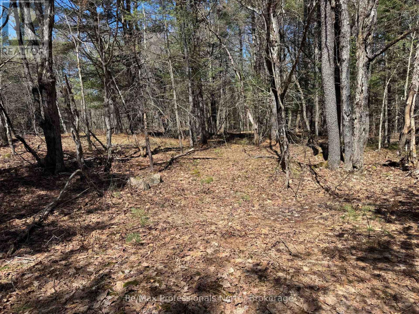 Lot 16 And 15 Con 2 Draper, Bracebridge, Ontario  P1P 1R3 - Photo 2 - X13031664