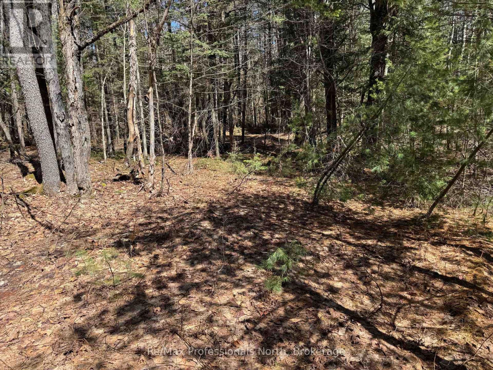 Lot 16 And 15 Con 2 Draper, Bracebridge, Ontario  P1P 1R3 - Photo 3 - X13031664