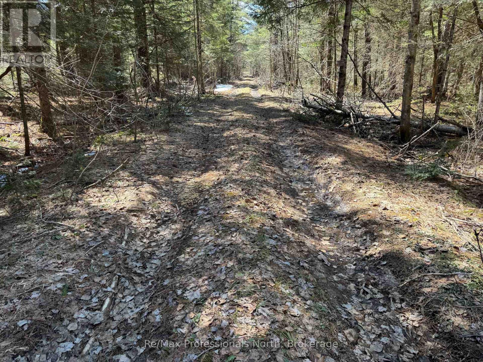 Lot 16 And 15 Con 2 Draper, Bracebridge, Ontario  P1P 1R3 - Photo 6 - X13031664