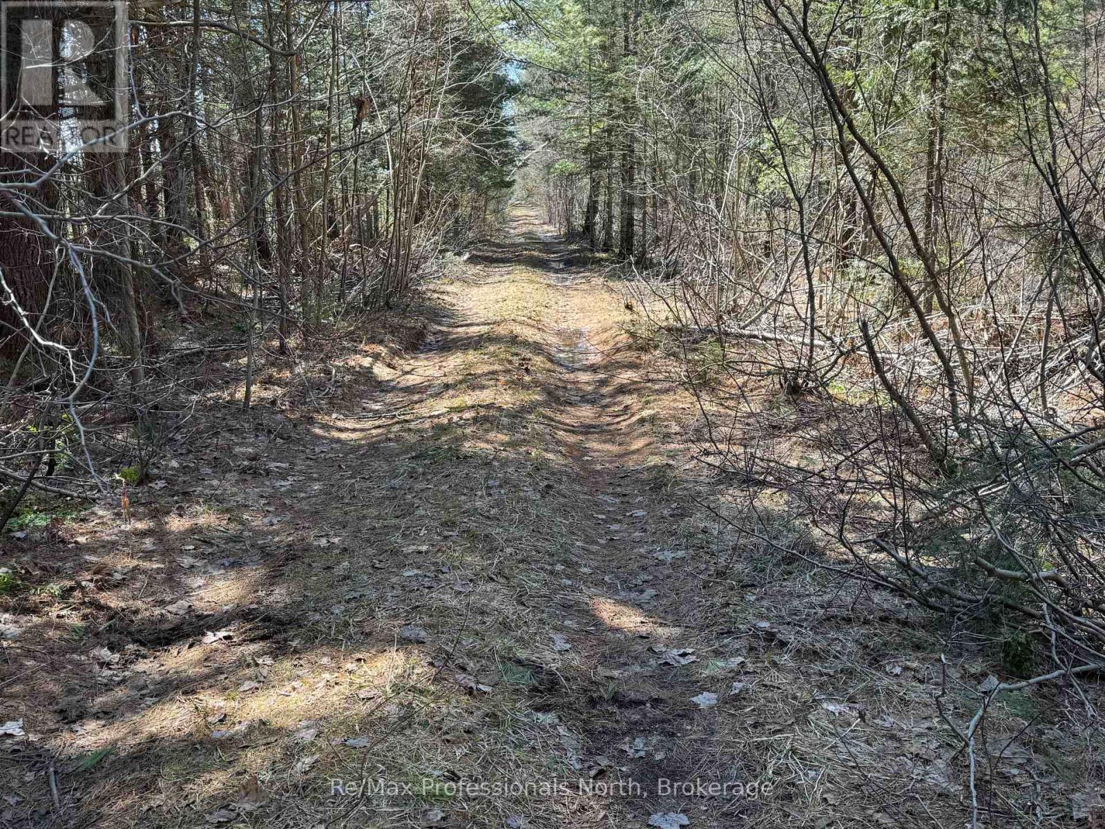 Lot 16 And 15 Con 2 Draper, Bracebridge, Ontario  P1P 1R3 - Photo 7 - X13031664