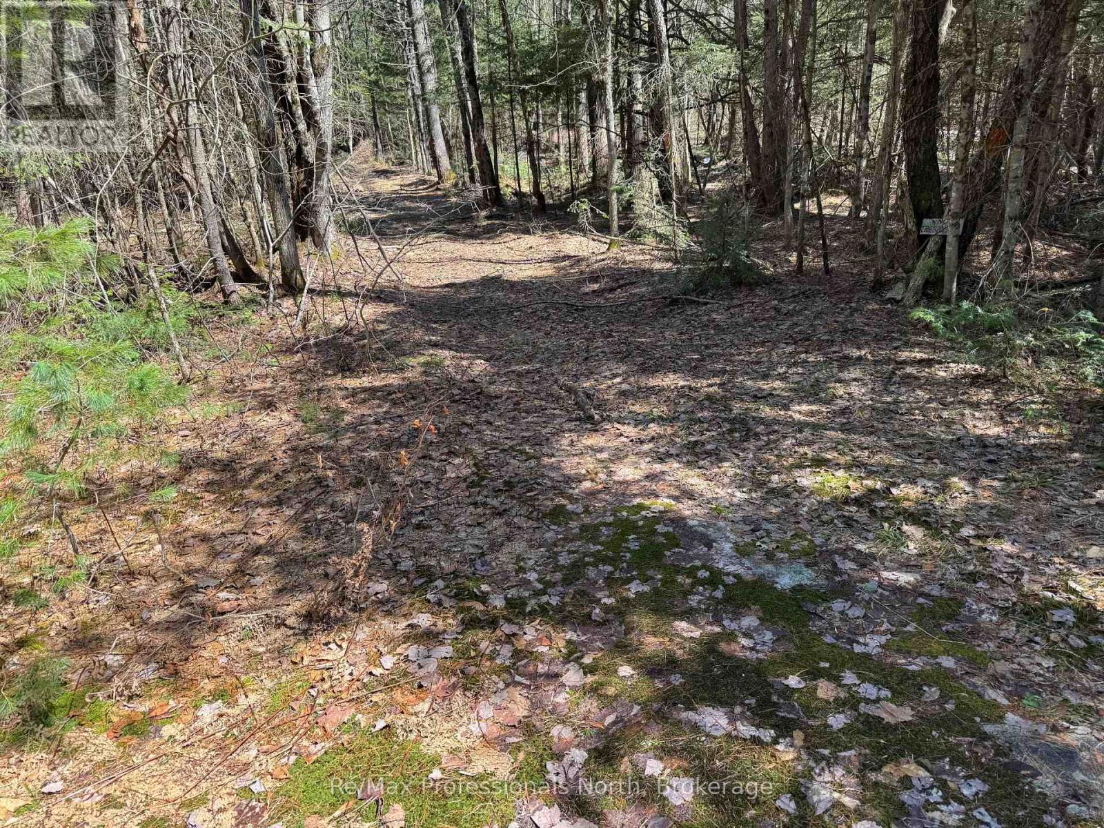 Lot 16 And 15 Con 2 Draper, Bracebridge, Ontario  P1P 1R3 - Photo 8 - X13031664