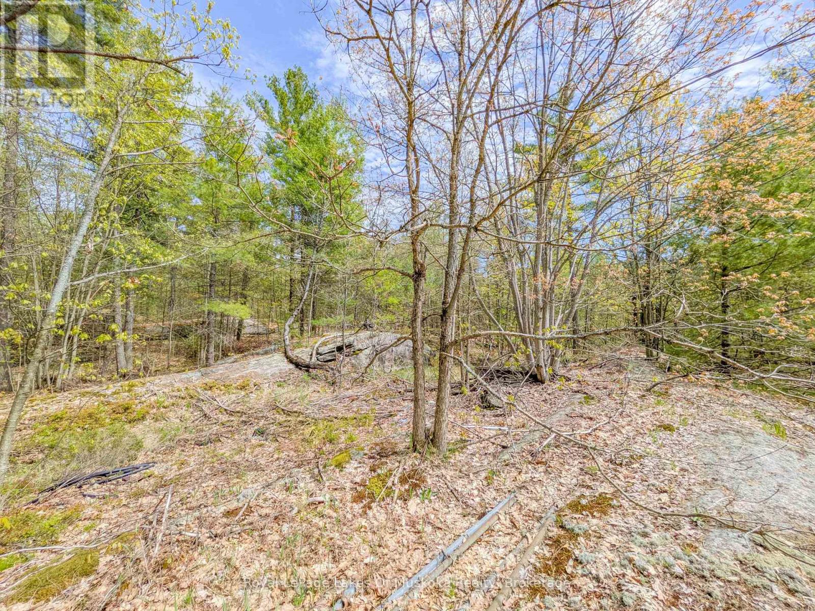 1314 Winhara Road, Gravenhurst, Ontario  P1P 1R1 - Photo 45 - X13035620