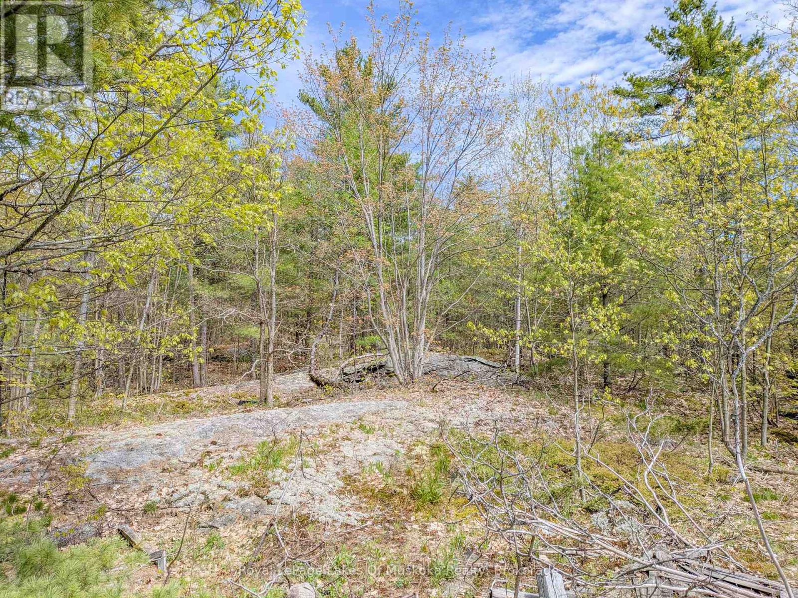 1314 Winhara Road, Gravenhurst, Ontario  P1P 1R1 - Photo 46 - X13035620