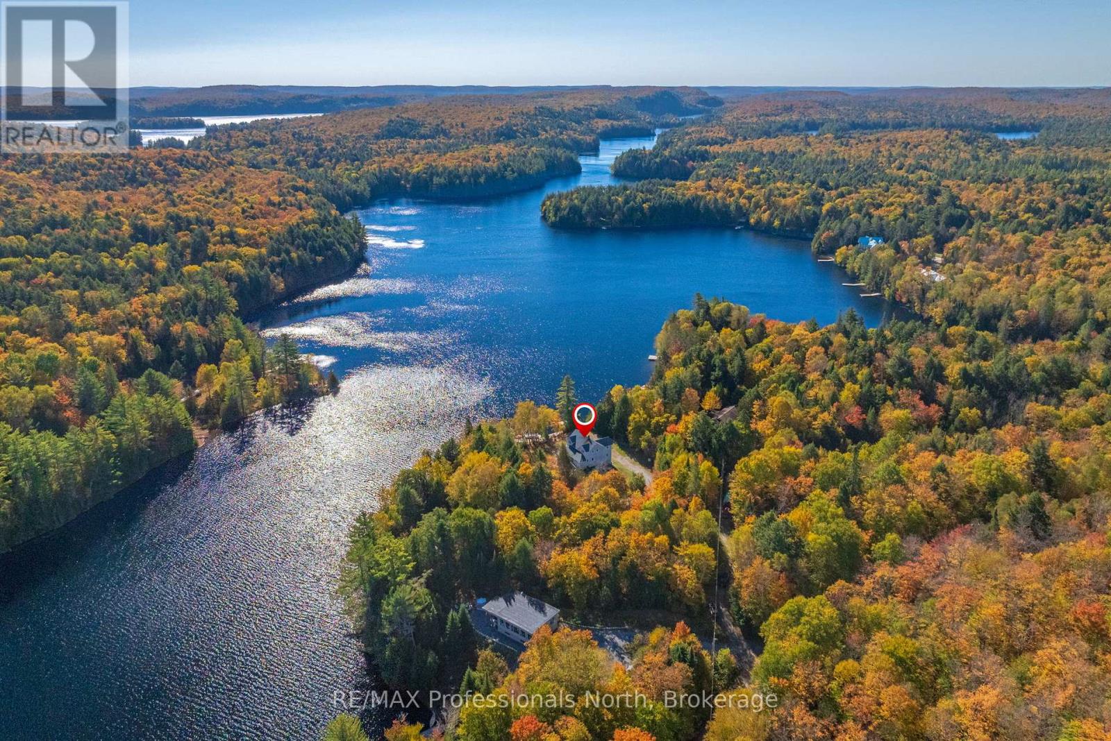 3 - 2901 Limberlost Road, Lake Of Bays, Ontario  P1H 2J6 - Photo 2 - X13035980