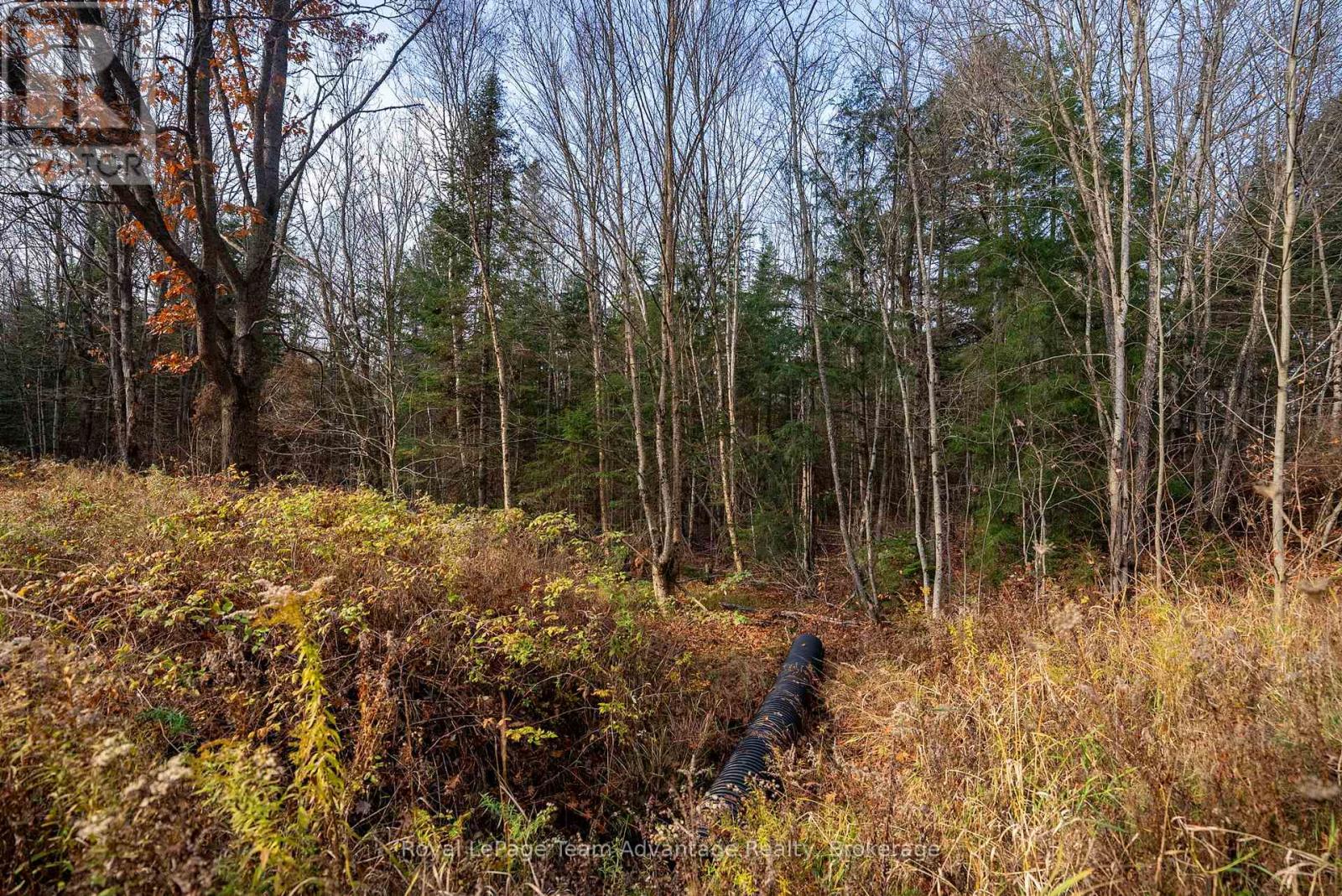 181 Clarkes Lane, Huntsville, Ontario P0B 1M0 - Photo 14 - X13036492