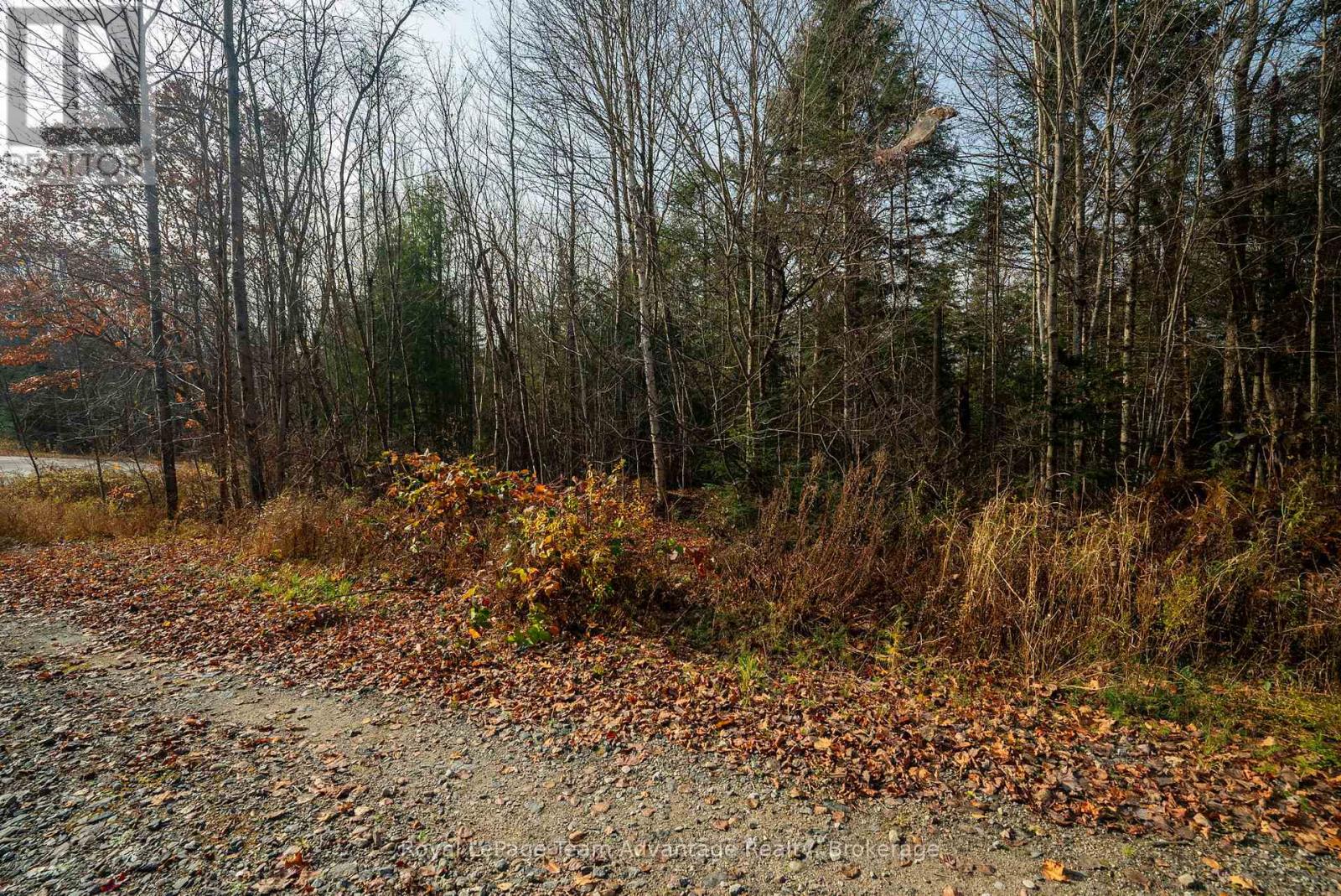181 Clarkes Lane, Huntsville, Ontario P0B 1M0 - Photo 24 - X13036492