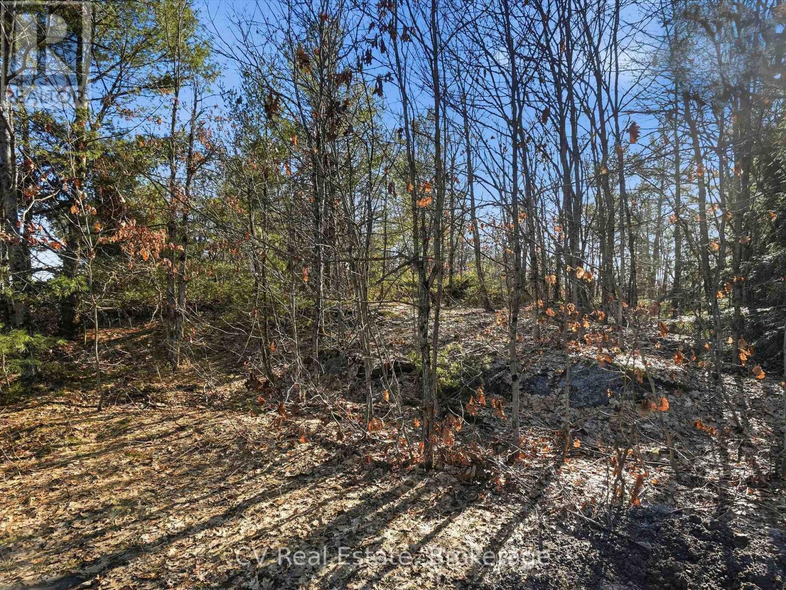 1670 Muskoka Rd 38, Muskoka Lakes, Ontario P0C 1A0 - Photo 28 - X13037842
