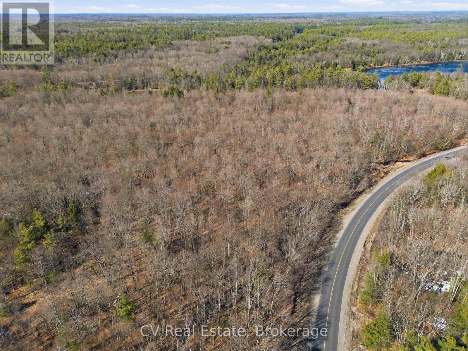 1670 Muskoka Rd 38, Muskoka Lakes, Ontario P0C 1A0 - Photo 3 - X13037842