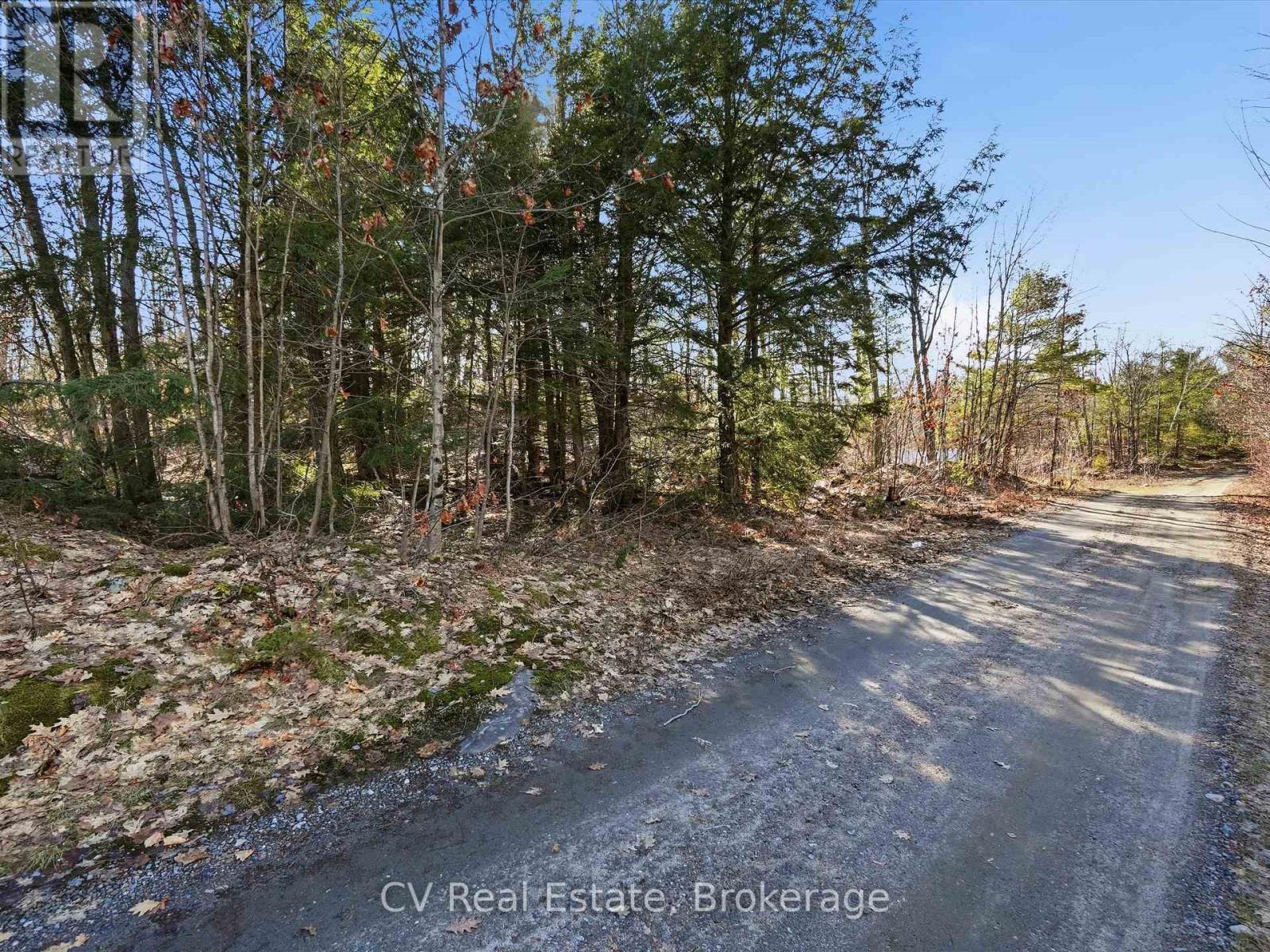 1670 Muskoka Rd 38, Muskoka Lakes, Ontario P0C 1A0 - Photo 36 - X13037842