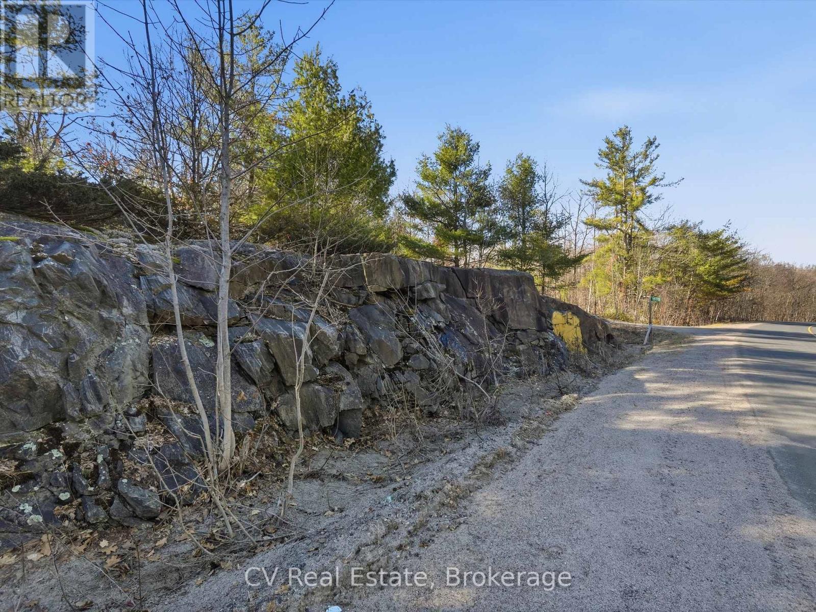 1670 Muskoka Rd 38, Muskoka Lakes, Ontario P0C 1A0 - Photo 37 - X13037842