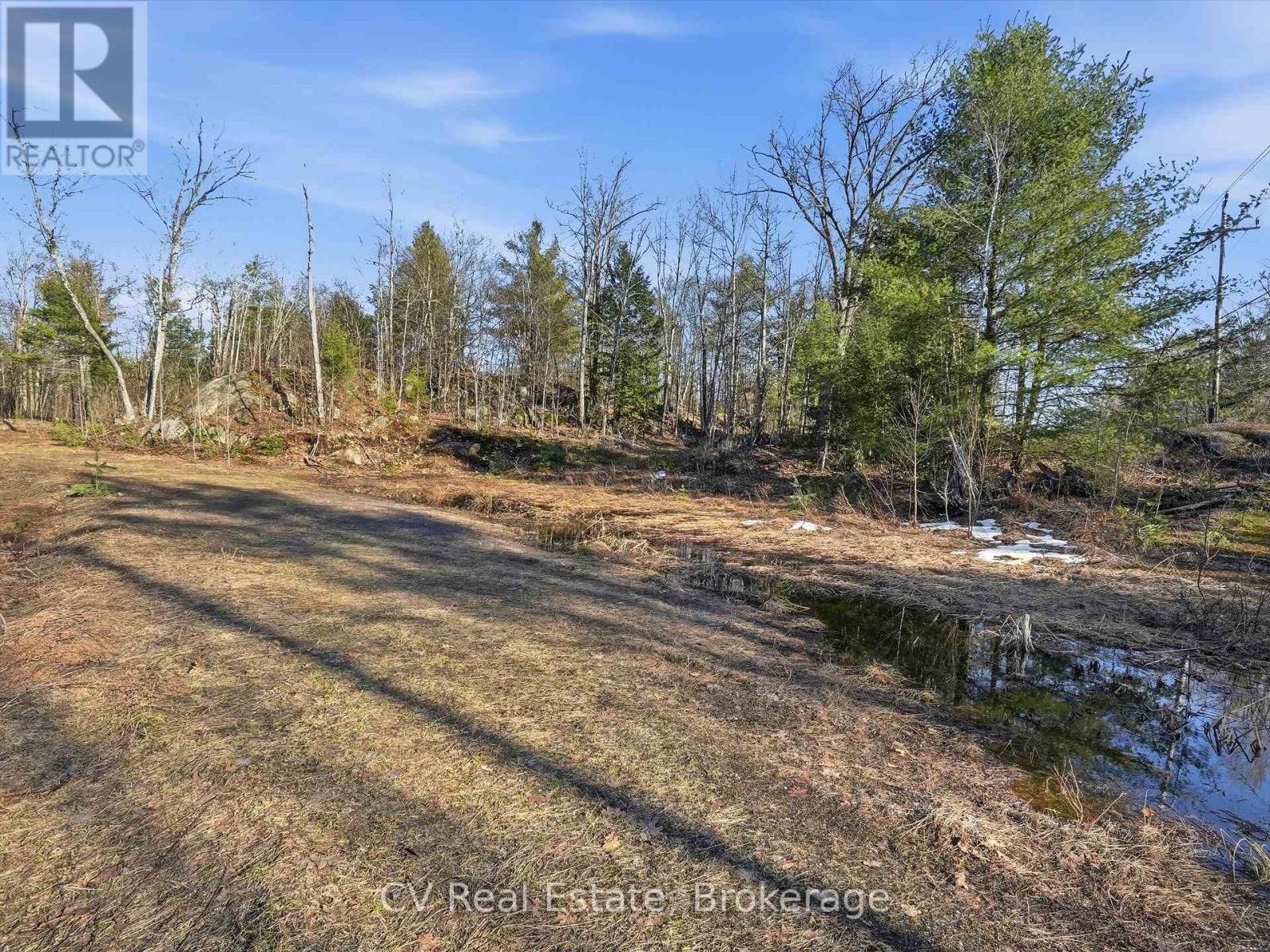 1670 Muskoka Rd 38, Muskoka Lakes, Ontario P0C 1A0 - Photo 39 - X13037842